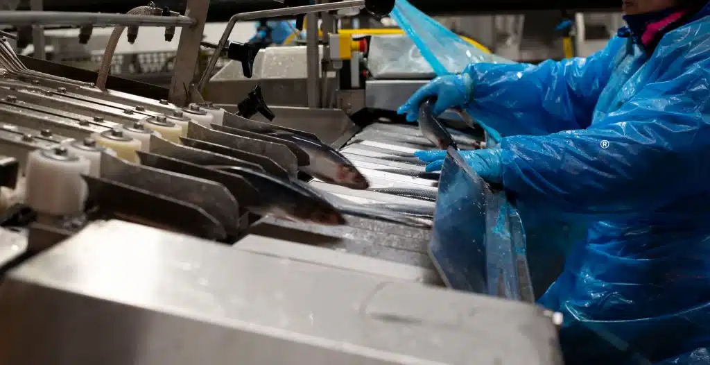 Produksjon av kosttilskuddet Romega® 3