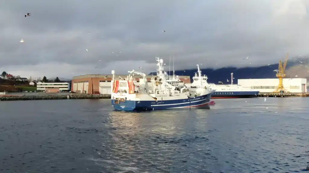 Produksjon av kosttilskuddet Romega® 4