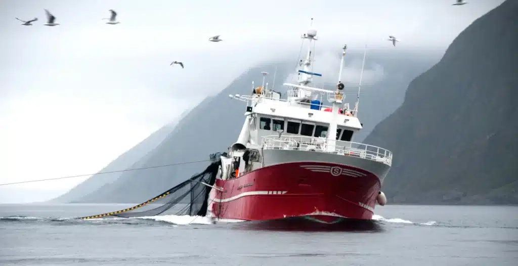 Omega-3 fra verdens mest bærekraftige fiskemat 6