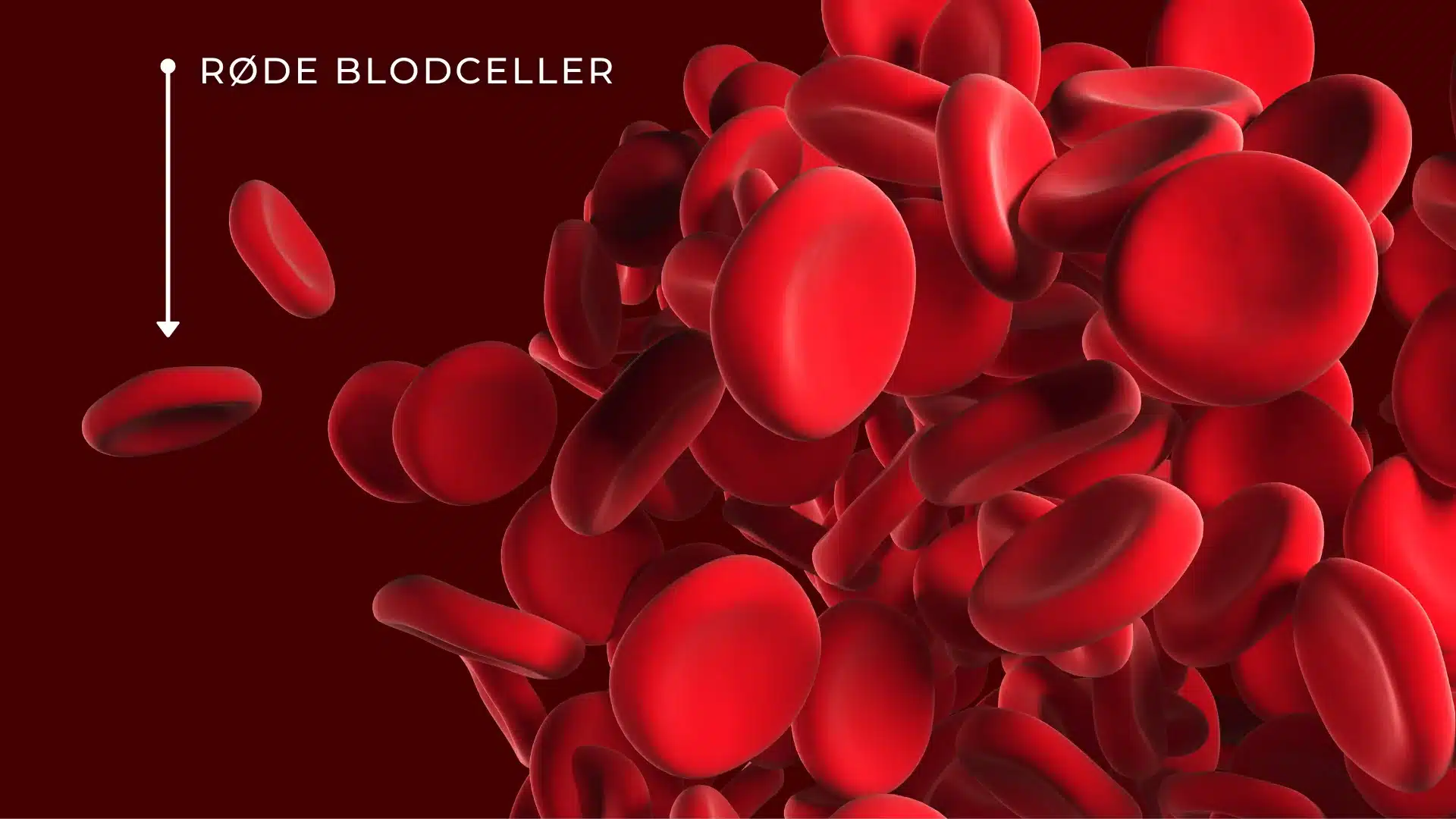 Fosfolipider – hva er det og hvorfor er det bra? 4