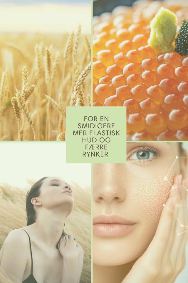 Romega® Skin Refine 11