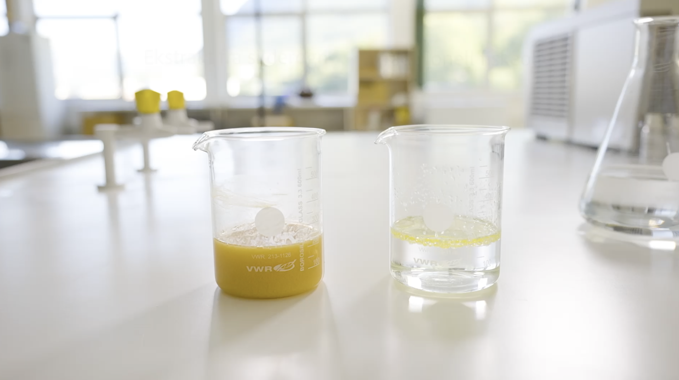 Omega-3 i ulike former. Hvilken fungerer best? 4