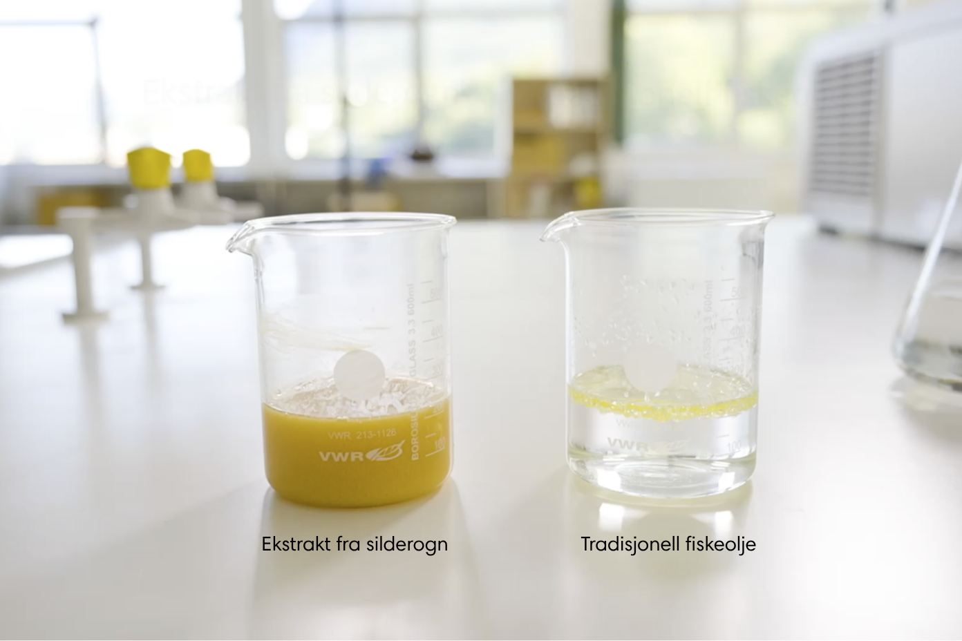 Omega-3 in different forms. Which one works best? 4